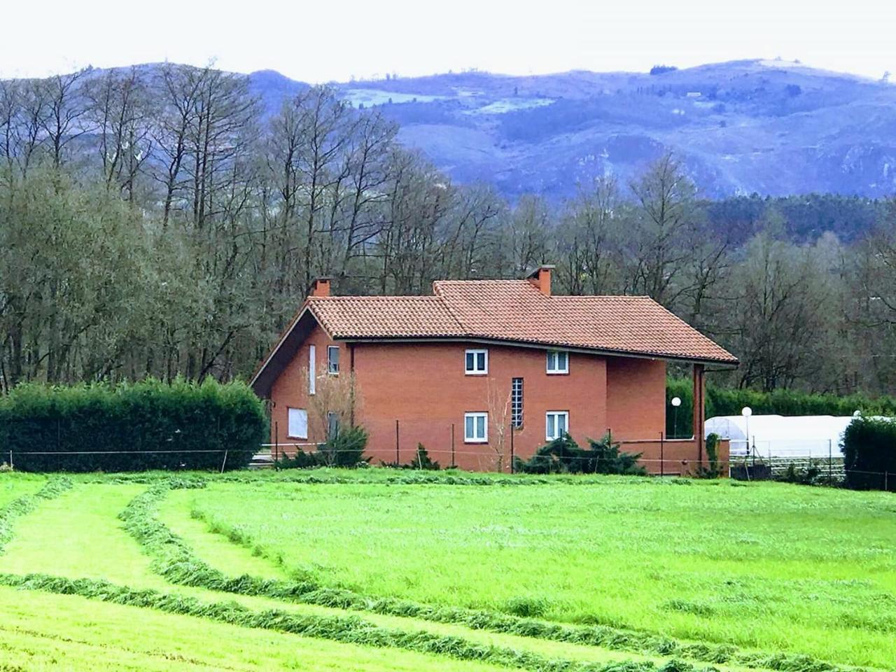 Bosque Albite Holiday home Llanera (Asturias)